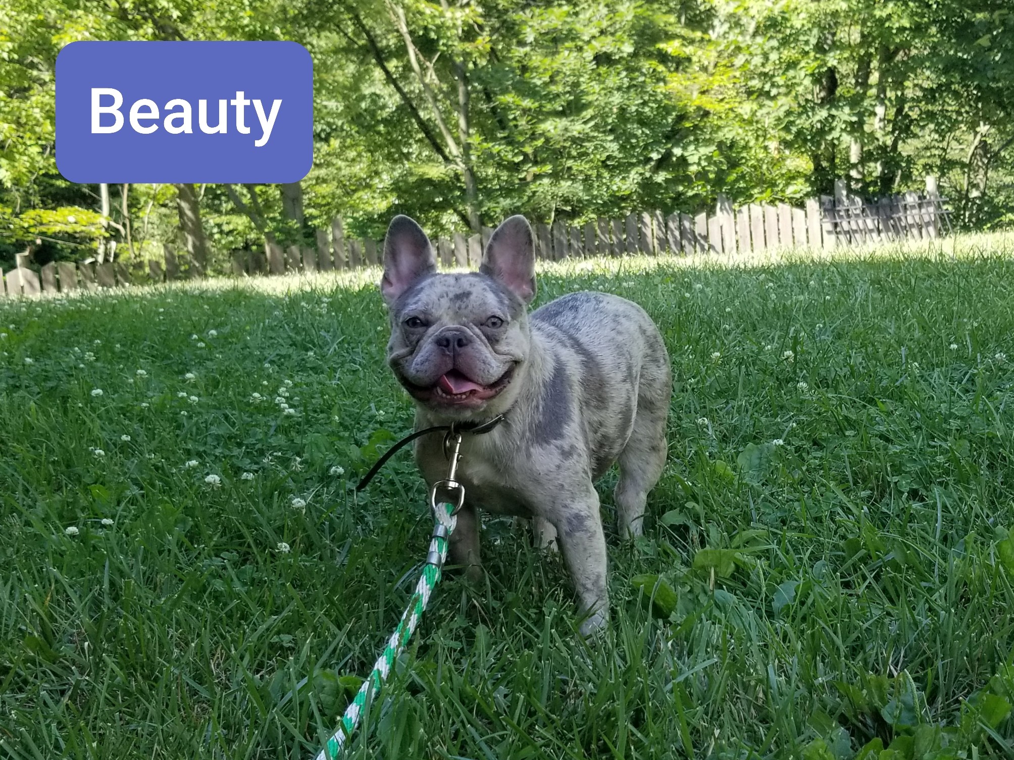 Beauty 2