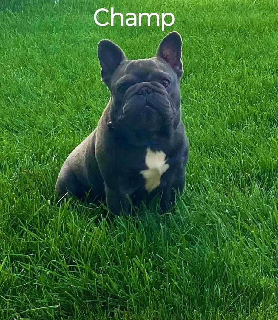 Champ 1