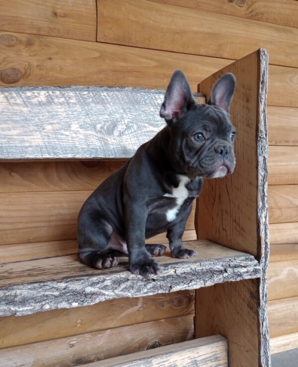 Copper