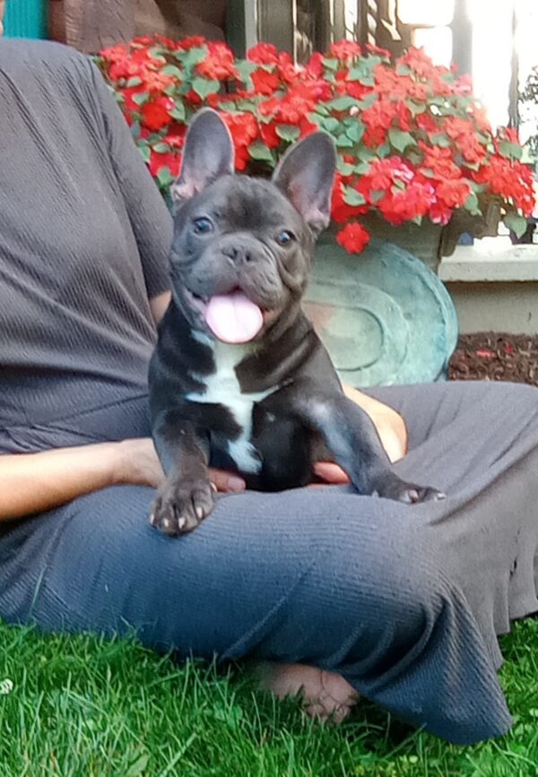Cooper