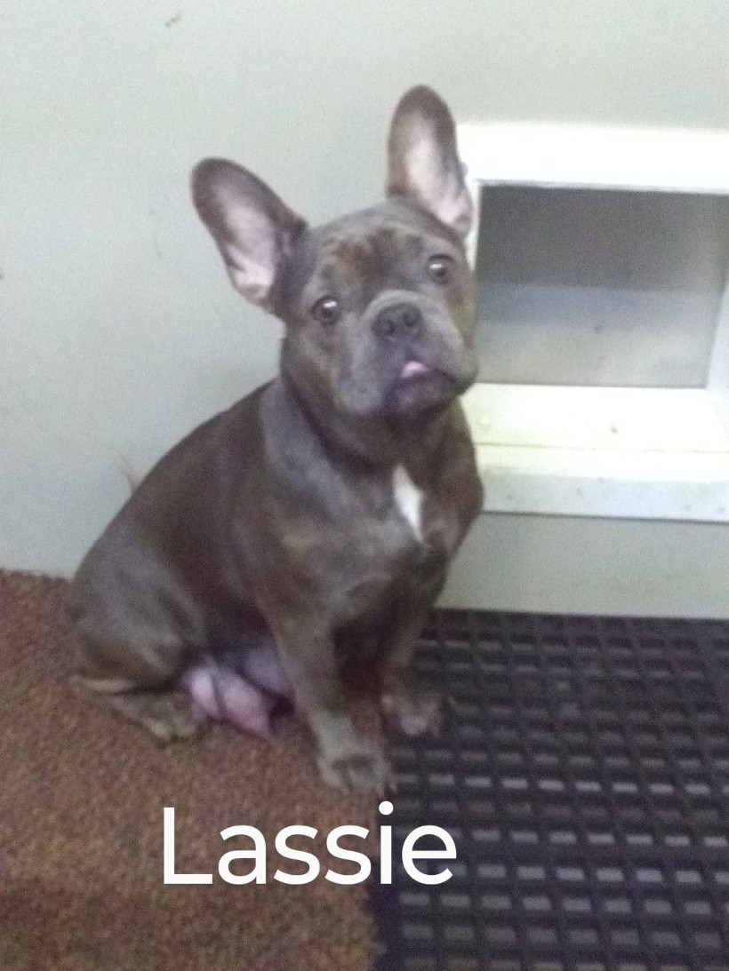 IMG_20250324_090141~2