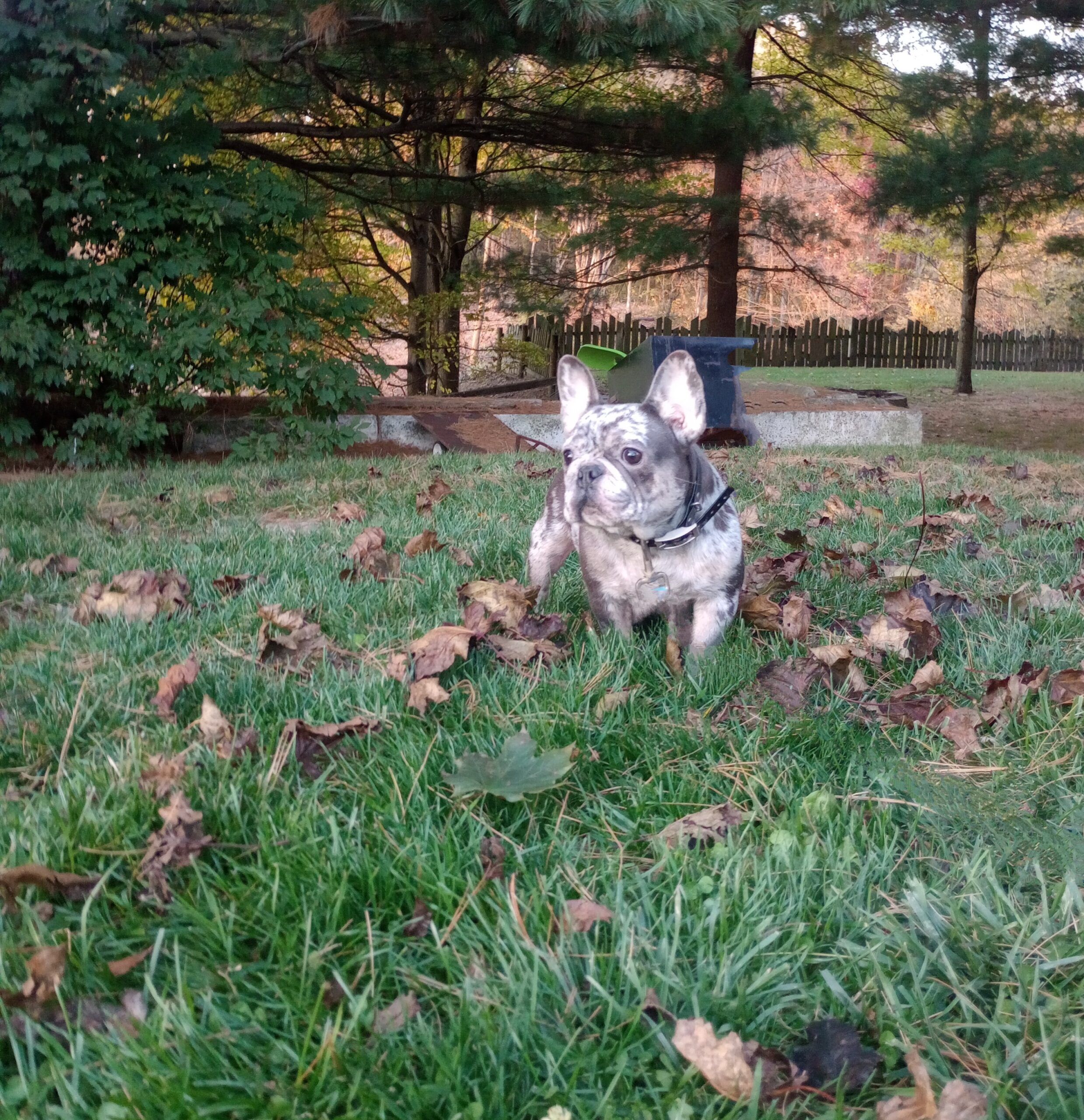 IMG_20251028_181835240_BURST031~3