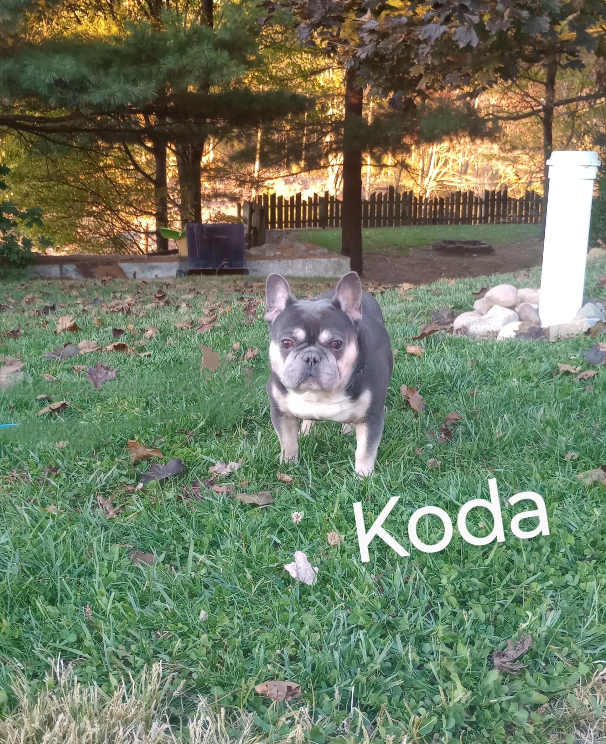 IMG_20251028_180757677_BURST013~4